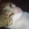 hmjkhkzkp99
