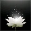 oanh.l576
