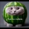 _fuetuculpa