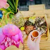 minh.chau3889
