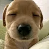 hihihaha_1234567