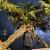 riyanadp_