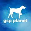 gsp.planet