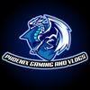 phoenix_x_gaming_vlogs