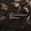 user9610581061269