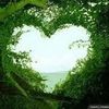 abdullah.jutt854
