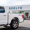 Seelye Ford Kalamazoo