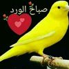 malou4522