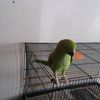 user12345689ar