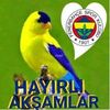 saalkis