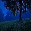 yuinnie_220