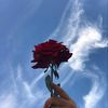 safira.rahma20