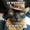 bosskfchs