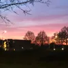 fleurgeersen_