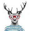 vlkdeer