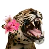 dalal.lazar