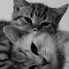 arianny.rivas8545