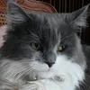 valrye5