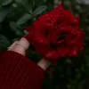 faayaa80