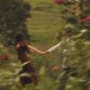 anarchicparadise2