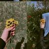 aya.reda202