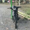 alfiananantasetiawa220