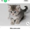 user9842185911115
