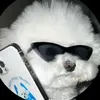 pedroguilherme5