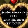 12345667ankara13