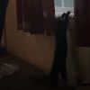 izzysdabestig
