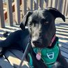 stormitheaffiliate