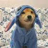 dogemanuel