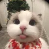 _hmecuteheheh.11