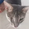 lilrosie62
