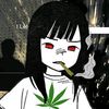 va_zii6