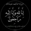 mohsaozzm2d