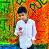 voice.king.bayjid