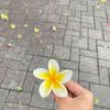 ngefairytale