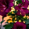 healing_place6