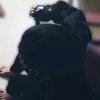 buithanhloc3