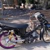 supra_patah_hati