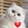 Кицюня 💞