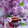 fatemeh.b33