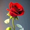 ramesh.paiyter