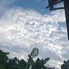 dibh_78