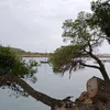 mohamedhamdi275