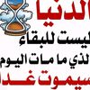 user7980567358206