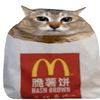 fatmcdcat
