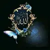 haider.alabadi1