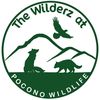 PoconoWildlife